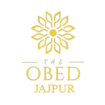 Anupam Das Digital Marketing Vibe Marketing OBED